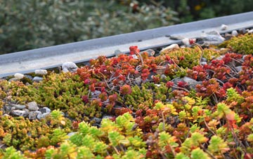 the cost of Pillmouth green roof installation