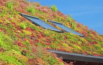 Pillmouth living roof systems